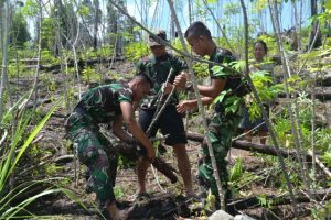 Satgas TMMD Ke 110, Bahagia Bisa Bantu Warga Panen Singkong