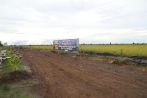 Riau Siapkan Food Estate Seluas 30 Ribu Hektare, Tunggu Survei Kementan