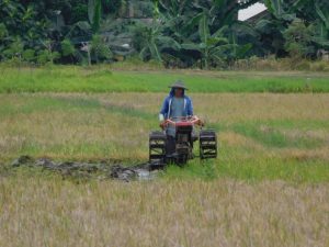 Sewakan Kombi, Hasilkan Omzet Rp 4,5 juta per Hari