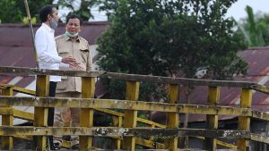 Prabowo Sebut 30 Ribu Hektare Lahan di Kalteng Disiapkan untuk Ditanami Singkong