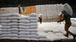 Rencana Impor Beras Setelah Panen Dianggap Sangat Menyakitkan Petani
