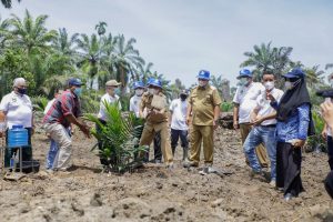 Tanam Perdana Kemitraan Memfasilitasi Pembangunan Kebun Masyarakat Antara PT BSP TBK dengan Gapoktan Sinar Lestari