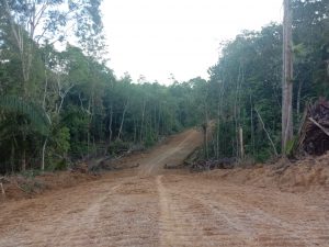 Infrastruktur Terputus TMMD 110 Putussibau Telah Bangunkan Jalan