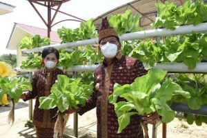 ‘Kebun Hatinya’ PKK Sanggau Membangkitkan Semangat Anak Muda dan Kader