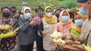 Desa Kalirejo, Magelang Kembangkan Agro Eduwisata Pertanian Kolosal