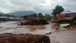 BNPB Ralat Data Korban Tewas Akibat Banjir Bandang Flores Timur Menjadi 41 Orang