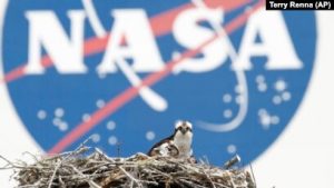 Selandia Baru Teken Perjanjian Luar Angkasa dengan NASA