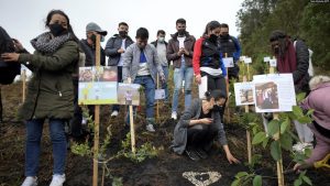 Penanaman Pohon, Mengenang Korban COVID-19 Kolombia