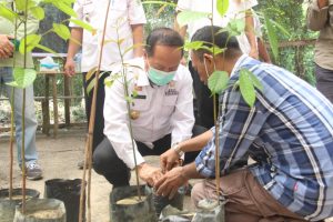Wabup Sanggau Resmikan Kebun Pembibitan Tanaman Endemik