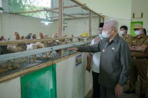 TPS 3R di Asahan Optimalisasi Sampah Organik sebagai Pakan Alternatif Uggas dan Ikan