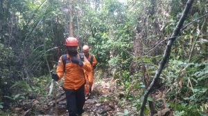 Bujang Hilang saat Berburu di Hutan, SAR Pontianak Masih Lakukan Pencarian