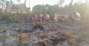 Damkar Satpol-PP Landak Padamkan Api Dekat Pemukiman Warga