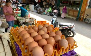 Permintaan Telur Ayam Meningkat Pasca Pemberlakuan PPKM Mikro di Kota Pontianak