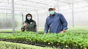 Cara IPB University Dorong Mahasiswa Jadi Petani Milenial