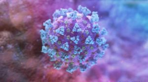 KKP: Cina Kirim 20 Pemberitahuan Produk Perikanan RI Terpapar Covid-19