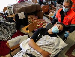 Belgia Umumkan Upaya untuk Atasi Mogok Makan Migran