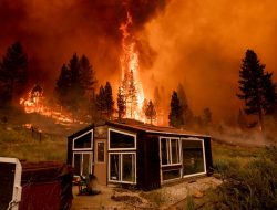 Kebakaran Hutan California Meluas ke Nevada