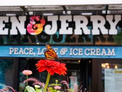 Es Krim “Ben & Jerry’s” Hentikan Penjualan di Wilayah Pendudukan Tepi Barat