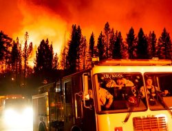 Kebakaran Hutan Terus Membesar di Wilayah Barat AS