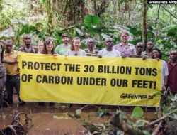 UNESCO Hapus Taman di Demokratik Republik Kongo Dari Daftar Terancam