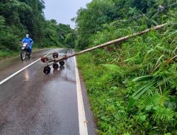 Tanah Longsor Tumbangkan Tiang Listrik di Kabupaten Sekadau