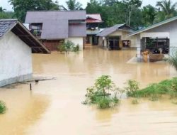 Banjir Terjang Desa Pakak Sintang, Ratusan Rumah Penduduk Terendam