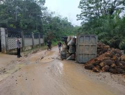 Alami Pecah Ban, Truk Bermuatan TBS Terbalik di Landak