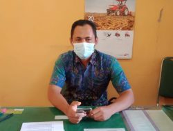 Jelang Idul Adha, Distanak Lampura: Pembeli Utamakan Faktor Kesehatan Hewan