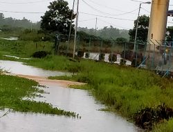 Luapan CPO PT Asia Palem Lestari Diduga Cemari Sungai di Rasau Jaya 2