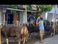 Bupati Ingatkan Warga Terapkan Prokes Pada Pelaksanaan Hewan Kurban