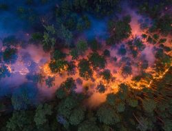 Kebakaran Hutan Besar Landa Wilayah Siberia di Rusia