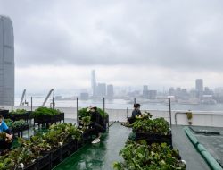 Kota Dunia Mulai Membangun Hutan Urban