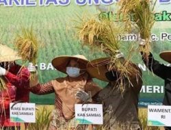 Kunker Wamentan RI Ingin Sejahterakan Petani di Kabupaten Sambas