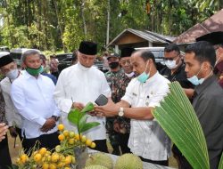 Gubernur Sumbar Serukan Masyarakat Tanam Kelapa