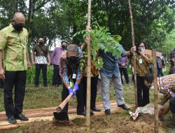Pembangunan Gedung Galeri Hasil Hutan, Diharapkan Jadi Ruang Publik Bagi Masyarakat Kalbar