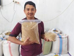 Pemuda di Padang Ini Sukses Jalani Usaha Padi Pakan Ayam di Masa Pandemi