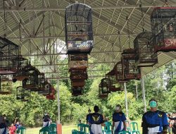 Komunitas Burung Ini Bantu Sosialisasi Vaksinasi Melalui Kontes