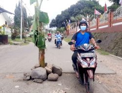 Puluhan Supir Ptotes Jalan Rusak, Dorong Pemda Lotim Percepat Perbaikan