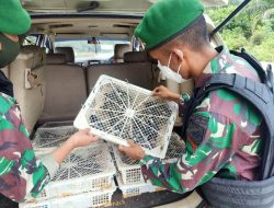 Penyelundup 150 Ekor Burung Kacer asal Malaysia Digagalkan Satgas Pamtas