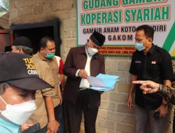 Sumbar Upayakan Peningkatan Keahlian Petani Gambir Untuk Kualitas Produk