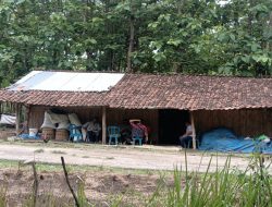 Memprihatinkan, Guru di Ngawi Bersama Tiga Anaknya Tinggal Seatap dengan Kambing