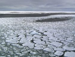 Australia Teliti Samudra Antartika untuk Cari Penyebab Tsunami