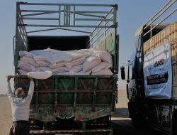 USAID Klaim Gandum yang Dikirim ke Suriah Timur Laut Berstandar Tinggi