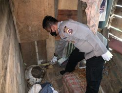 Tega!! Seorang Anak Bunuh Ibu Kandung Dengan Pakai Cangkul di Alahan Panjang, Kabupaten Solok
