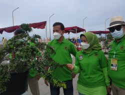 Meningkatkan Gairah Pariwisata, Pemko Padang Gelar Pameran dan Kontes Bonsai 2021