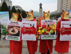 Korsel akan Luncurkan Satgas Pelarangan Konsumsi Daging Anjing