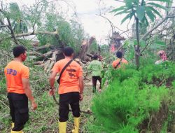 BPBD Lotim Warning Wilayah Rentan Bencana, Waspadai Cuaca Ekstrim
