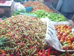 Harga Cabai  Rawit di Sanggau Rp120 Ribu/Kg
