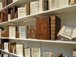 Melonjak, Pengunjung Situs Berbahasa Arab Perpustakaan Israel