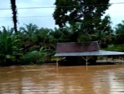 Sungai Batang Air Haji Pasaman Barat Meluap, 15 Rumah Warga Terendam